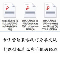 构建高效企业营销策划与推广方案 从策略到执行的全面指南