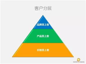 从黄杨之性看初创企业营销战略设计要点
